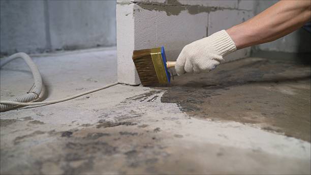 SJ Waterproofing Pros Waterproofing coverage map for Waynesboro, GA and surrounding area